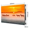 COB LED Display (640x337.5mm)