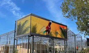 Outdoor LED Displays 20250513