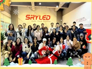 SRYLED-Celebrating Christmas
